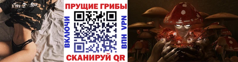 Псилоцибиновые грибы Psilocybe  Купить  Фёдоровский 