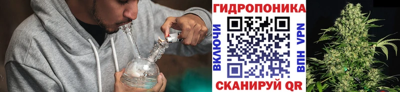 Конопля MAZAR  Купить где  Фёдоровский 